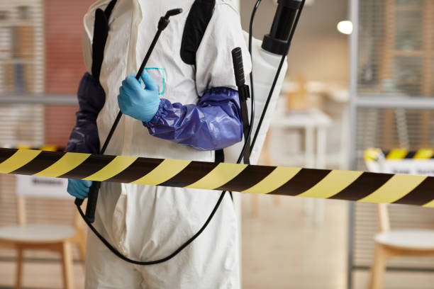 Professional Sewage Cleanup technician working in Clinton, WA